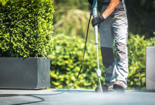 Best Roof Washing  in Auburn Lake Trails, CA